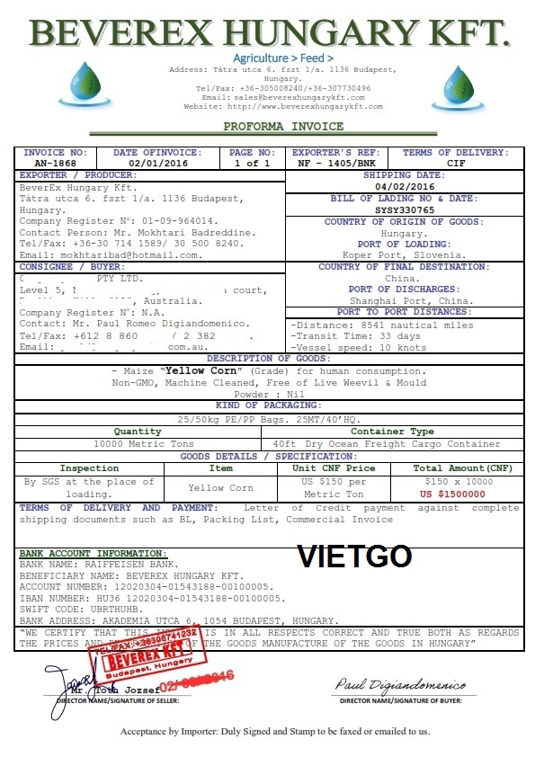 ngô hạt việt nam