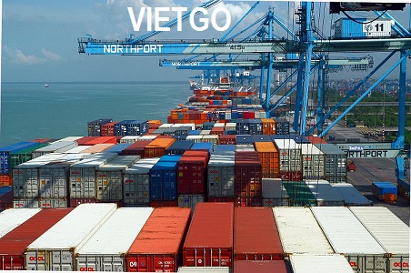 hoa hồi việt nam