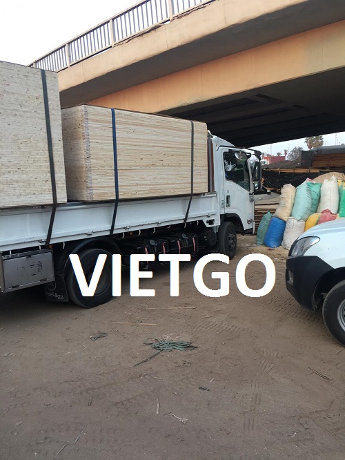 Ván bóc gỗ bạch dương Vietgo Ván bóc gỗ bạch dương Vietgo