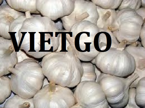 Tỏi Vietgo Tỏi Vietgo