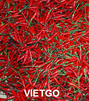 ớt việt nam xuất khẩu