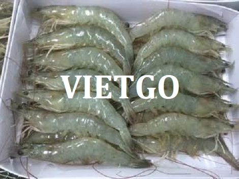 Tôm Vietgo