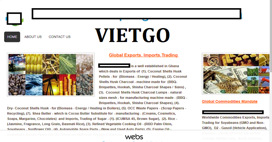 San-lat-VIETGO030419