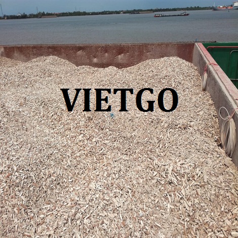San-lat-VIETGO