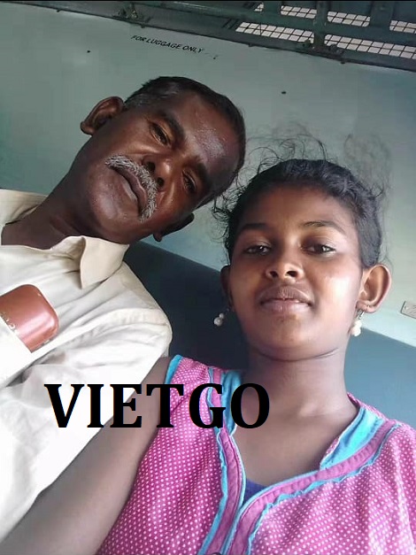 Gỗ thông tròn Vietgo