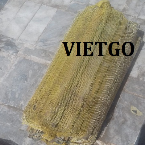 Thanh-nua-VIETGO Thanh-nua-VIETGO