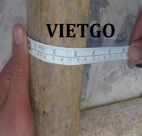 Thanh-nua-VIETGO Thanh-nua-VIETGO