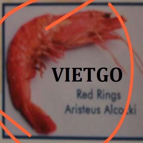 Tom-VIETGO