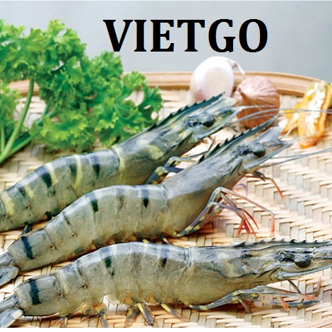 Tom-su-VIETGO
