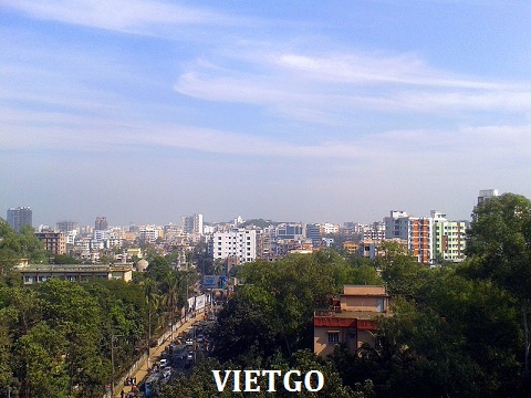 gừng tươi việt nam