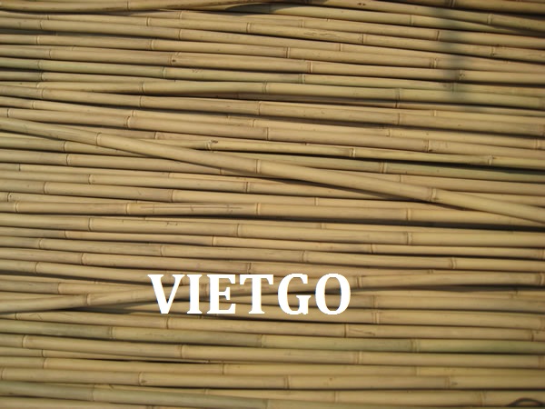 gậy tre