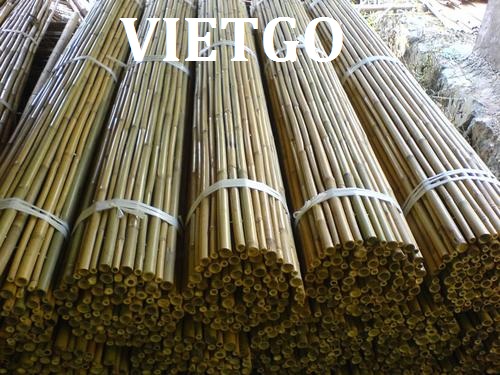 xuất khẩu gậy tre