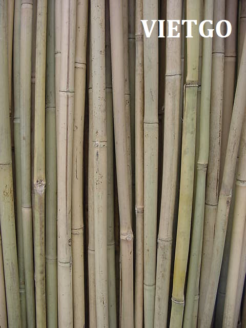 gậy tre xuất khẩu