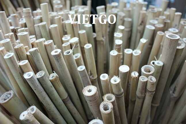 gậy tre