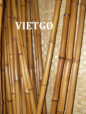 gậy tre