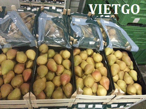 tre xuất khẩu