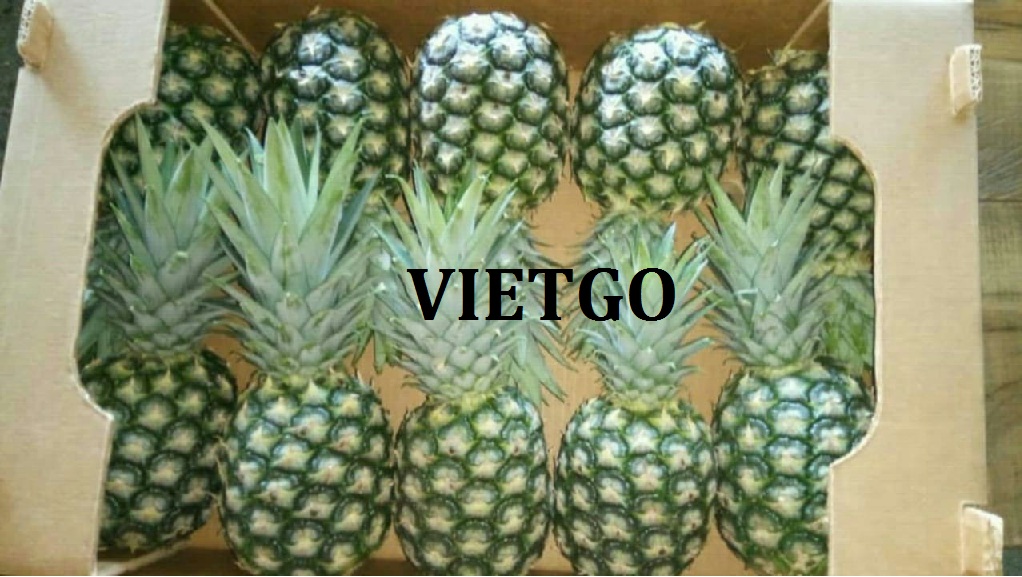 VIEGO-xuat-khau-dứa-khóm-Hy-Lạp VIEGO-xuat-khau-dứa-khóm-Hy-Lạp