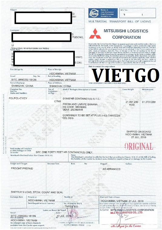 VIETGO-XUAT-KHAU-chuoi-Trung-Quốc-Samuel