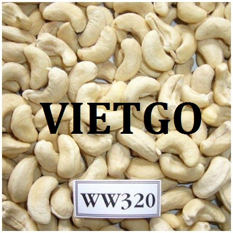 VIETGO-xuất-khẩu-hạt-điều-Ấn-Độ-Azmal