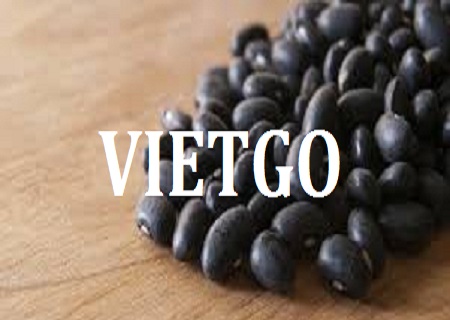 VIETGO-xuat-khau-đậu-Ai-Cập VIETGO-xuat-khau-đậu-Ai-Cập