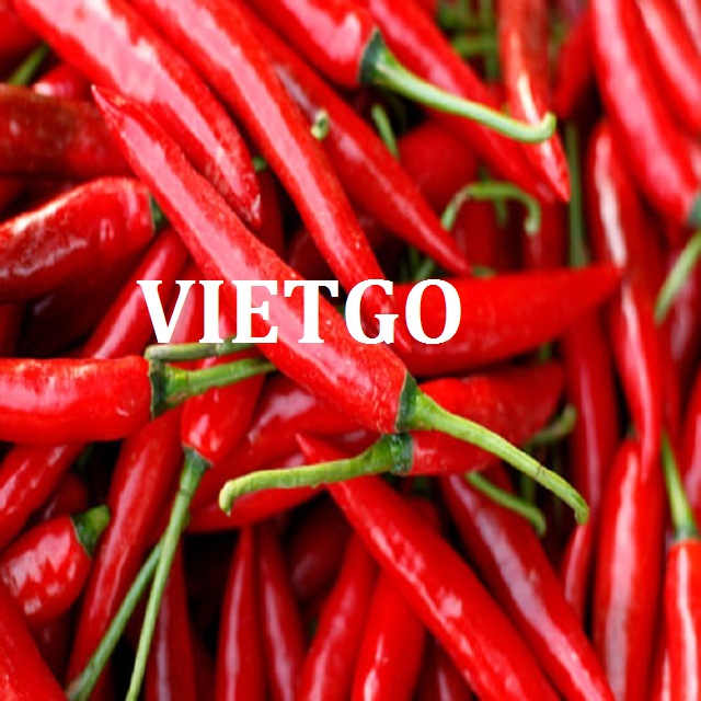 VIETGO-xuat-khau-ơt-Trung-Quoc-Lincon