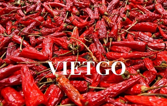 VIETGO-xuat-khau-ớt-Han-Quoc-Mr-KIm