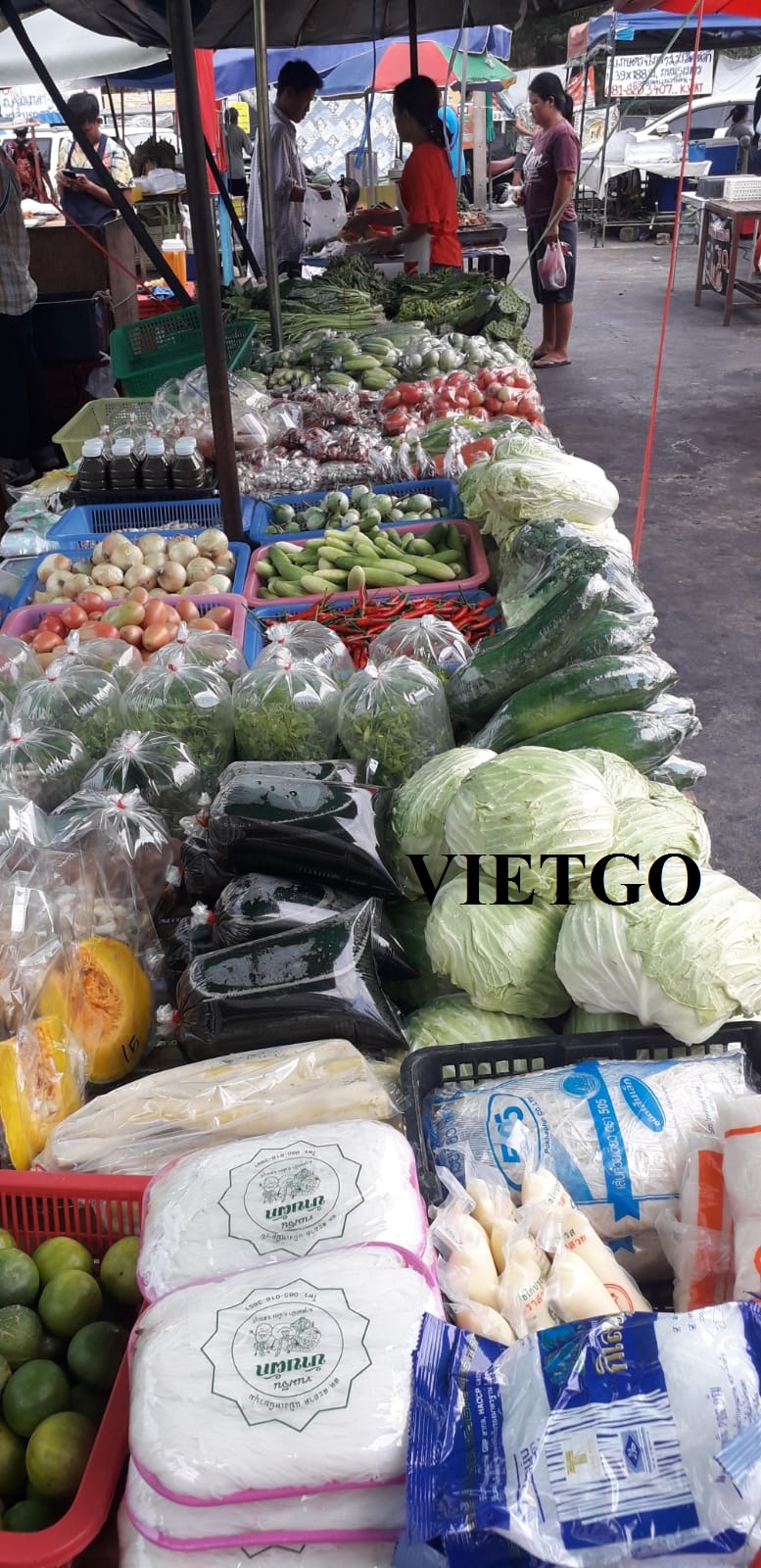 VIETGO-xuat-khau-ớt-Thái-Lan-Nittaya