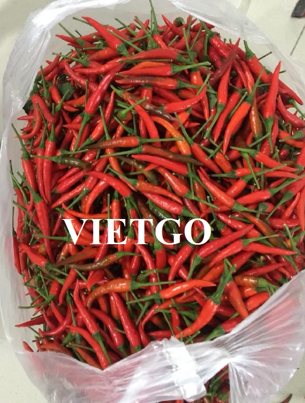VIETGO-xuat-khau-ớt-Thái-Lan-Nittaya