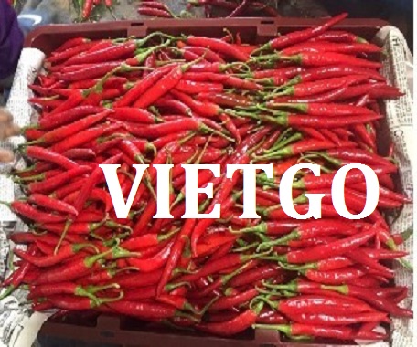 VIETGO-xuat-khau-ớt-Thái-Lan VIETGO-xuat-khau-ớt-Thái-Lan