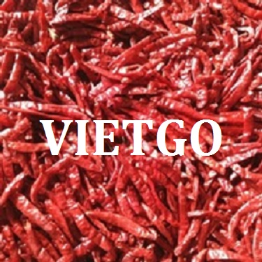 VIETGO-xuat-khau-ớt-Trung-Quốc-Rex