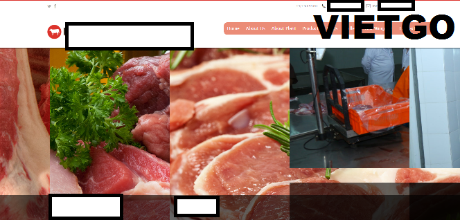 VIETGO-xuat-khau-ớt-xanh-Ấn-Độ-Hassan