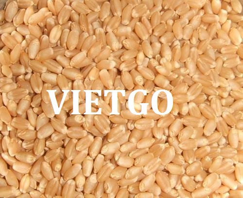 VIETGO-xuat-khau-BỘT-ĐẬU-NÀNH-An-Do-Dhawan VIETGO-xuat-khau-BỘT-ĐẬU-NÀNH-An-Do-Dhawan