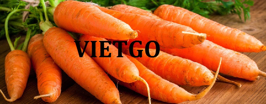 VIETGO-xuat-khau-CARROT-Réunion