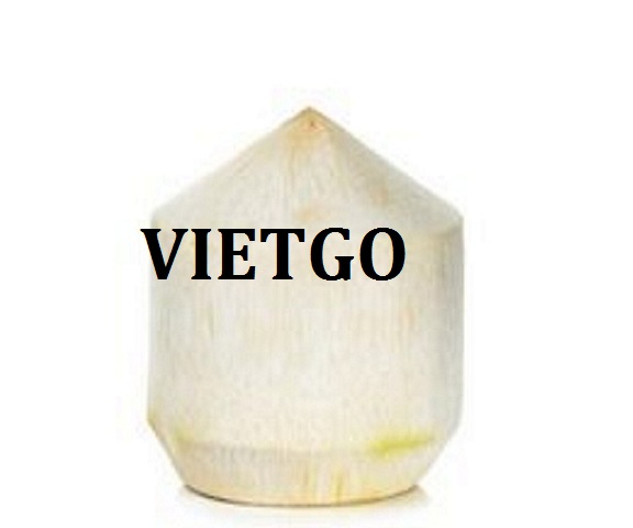 VIETGO-xuat-khau-DỪA-Arab Saudia