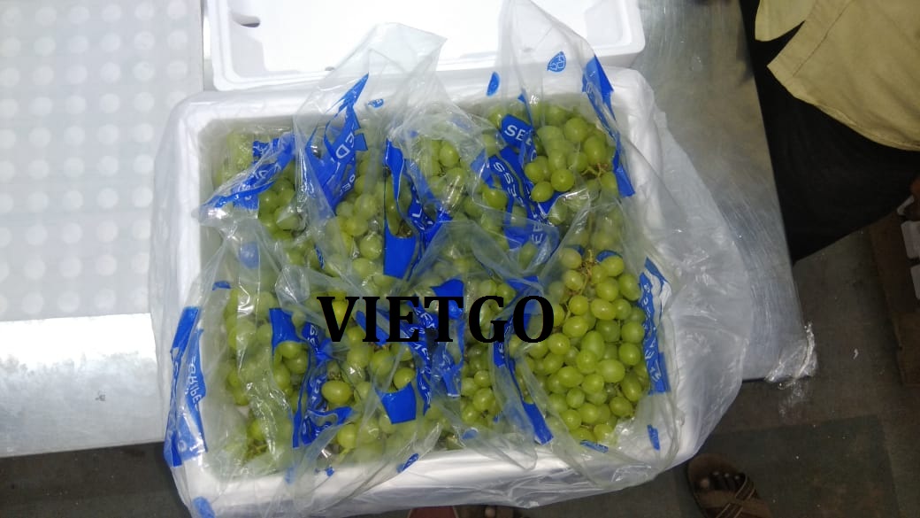 VIETGO-xuat-khau-bơ-Maldives-Shaif VIETGO-xuat-khau-bơ-Maldives-Shaif