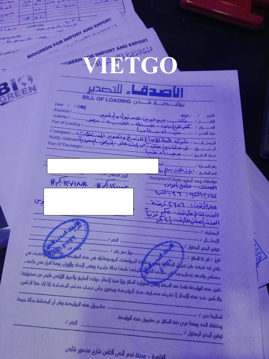 VIETGO-xuat-khau-bơ-Saudia-Arab