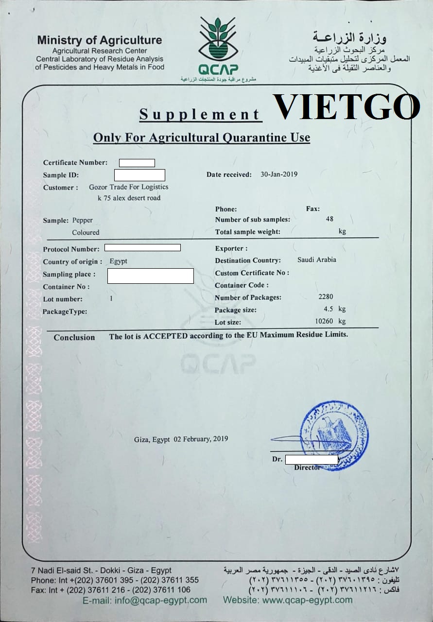 VIETGO-xuat-khau-bơ-Saudia-Arab