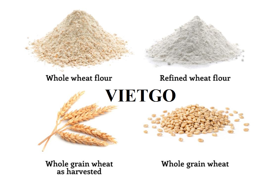 VIETGO-xuat-khau-bột-lúa-mì-Ấn-Độ-Sakib