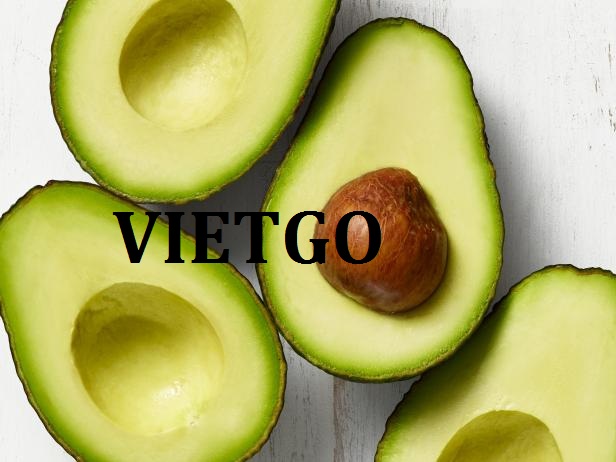 VIETGO-xuat-khau-bơ-chanh-day-Maldives VIETGO-xuat-khau-bơ-chanh-day-Maldives