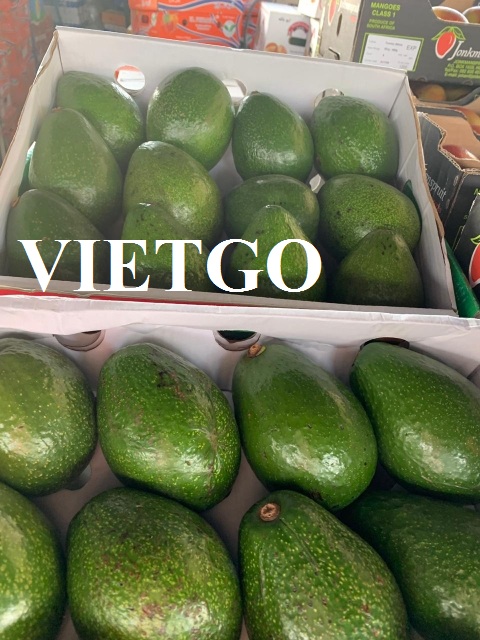 VIETGO-xuat-khau-bơ-Saudia-Arab