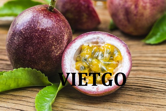 VIETGO-xuat-khau-bơ-chanh-day-Maldives VIETGO-xuat-khau-bơ-chanh-day-Maldives