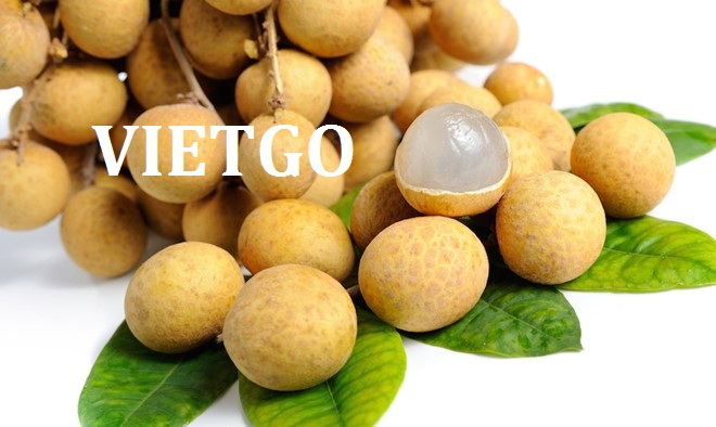 VIETGO-xuat-khau-các-loại-trái-cay-Ashraf VIETGO-xuat-khau-các-loại-trái-cay-Ashraf
