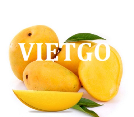 VIETGO-xuat-khau-các-loại-trái-cay-Ashraf VIETGO-xuat-khau-các-loại-trái-cay-Ashraf