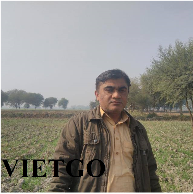 VIETGO-xuat-khau-ca-phe-xanh-Yemen-Ahmed