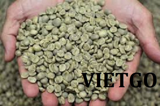 VIETGO-xuat-khau-ca-phe-xanh-Yemen-Ahmed