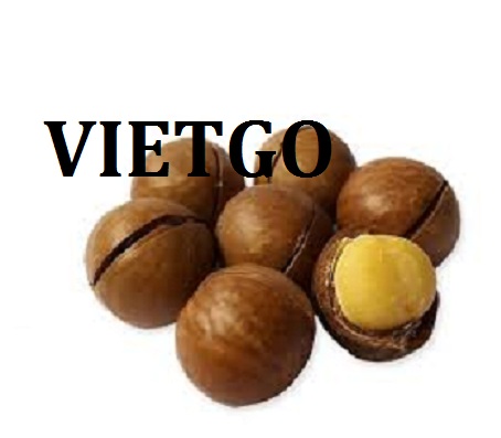 VIETGO-xuat-khau-cac-loại-hạt-Myanmar