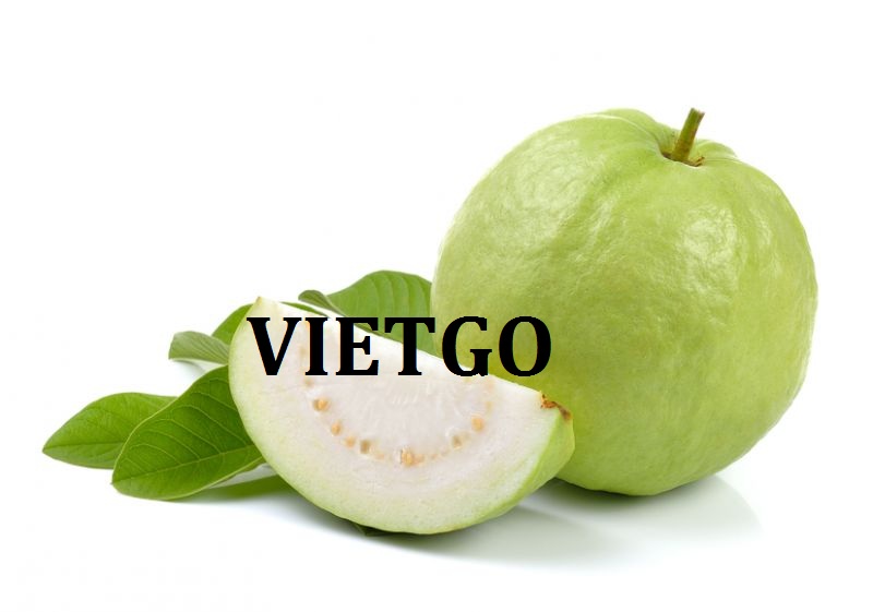VIETGO-xuat-khau-cac-loai-trai-cay-An-Do-Nepal