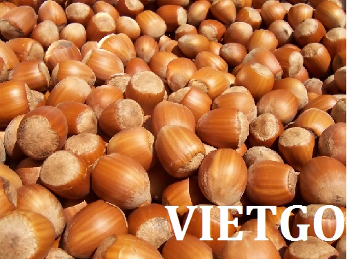 VIETGO-xuat-khau-cac-loại-hạt-Myanmar