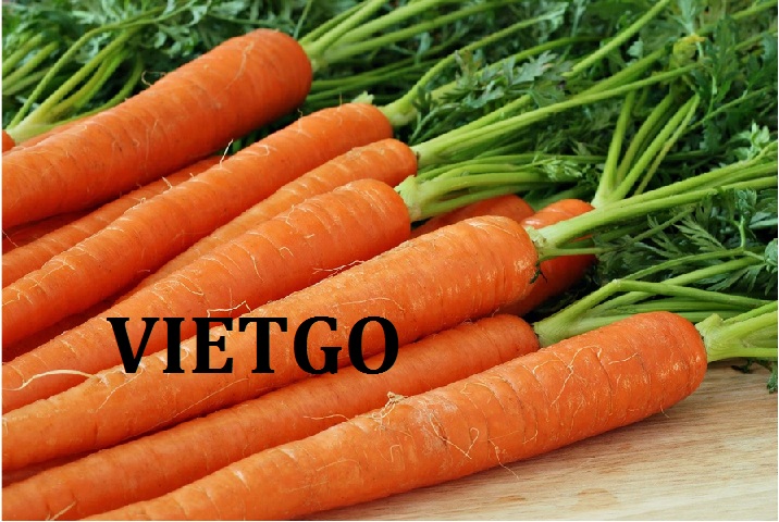 VIETGO-xuat-khau-carrot-Dubai