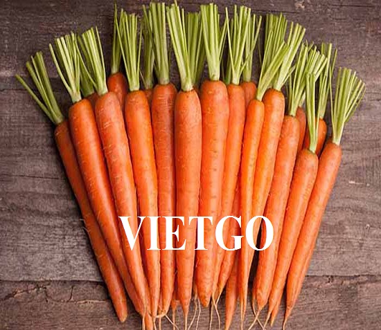 VIETGO-xuat-khau-carrot-Ghana-Riham